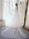 Full length shot of the bride at Graydon Hall Manor, showcasing the long, wide train of the sheer Amelie bridal veil with blusher, complementing her tulle ballgown.