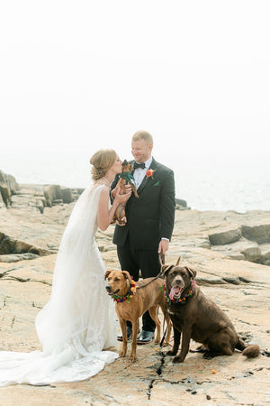 sparkling tulle bridal wings on bride M