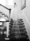 A bride wearing the REVERIE wedding veil with butterflies while standing on the Graydon Hall staircase. 