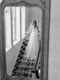 A bride wearing the REVERIE wedding veil with butterflies while standing on the Graydon Hall staircase. 