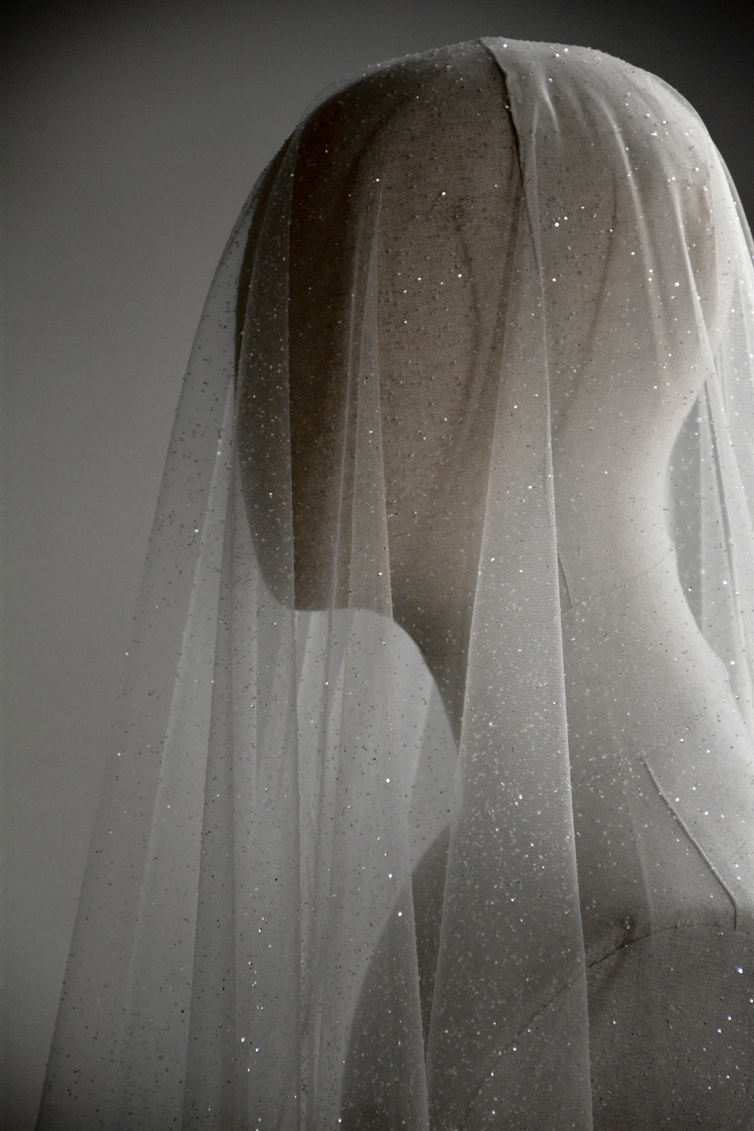 CAPELLA sparkling wedding veil with blusher