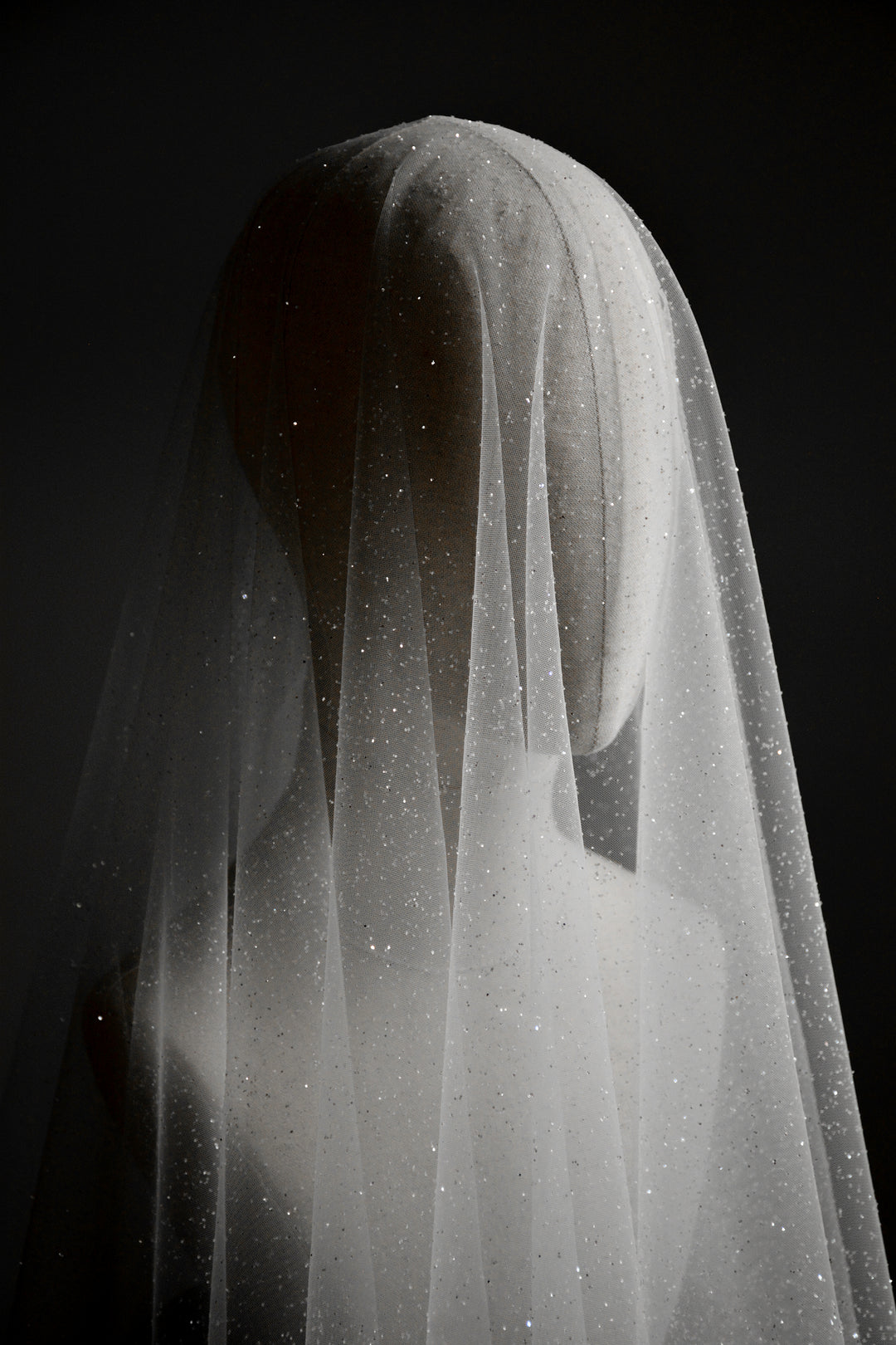 CAPELLA sparkling wedding veil with blusher