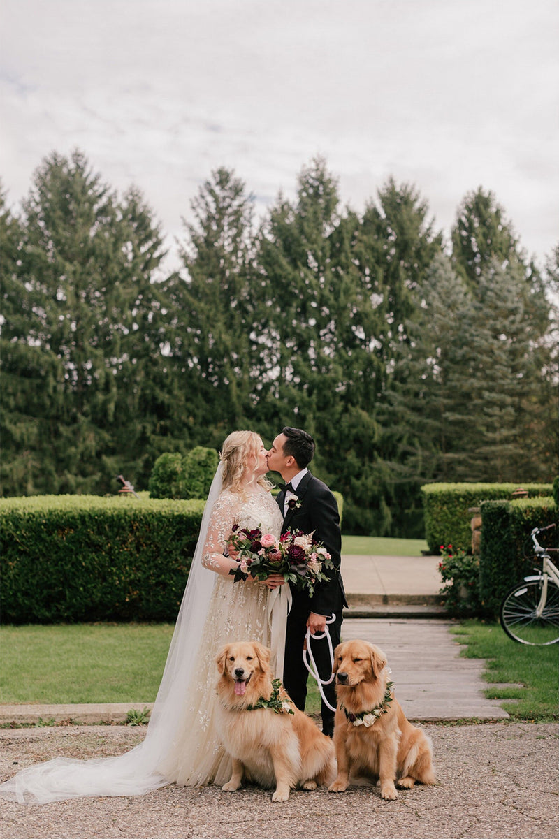 Bride and groom portrait kissing outdoors with two Golden Retrievers wearing floral collars in front of them; the full length of the sheer one-tier Olivia veil is spread out on the ground.