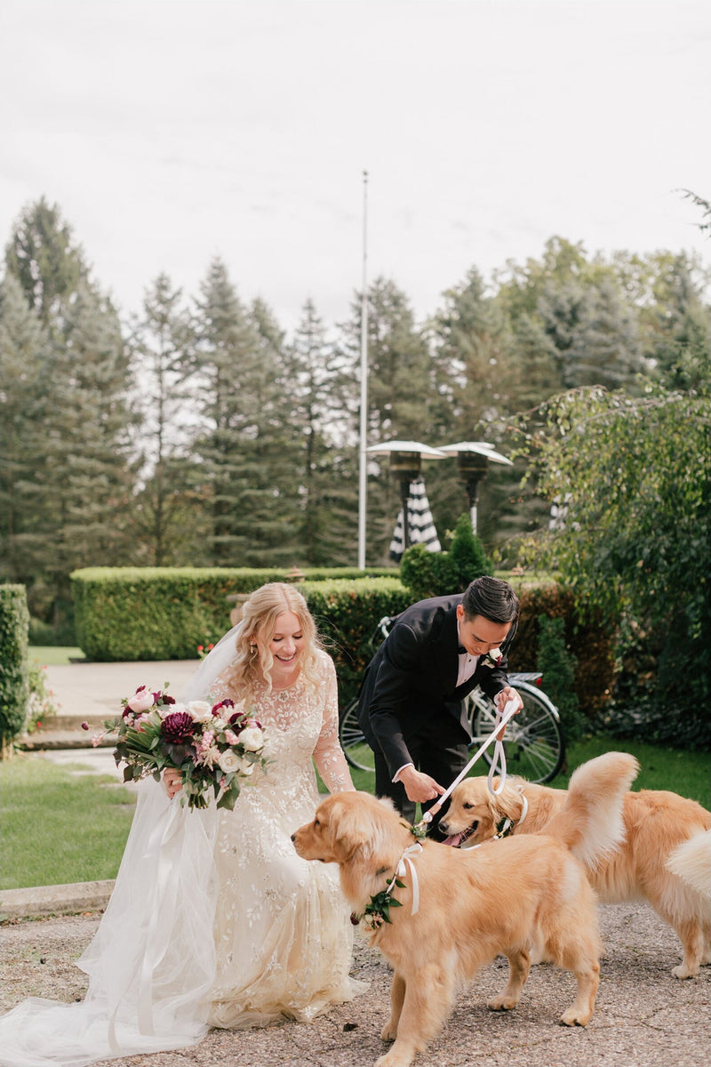 A happy bride with a bouquet and groom adjusting the leashes of two Golden Retrievers; the Olivia long wedding veil flows across the ground in the foreground.