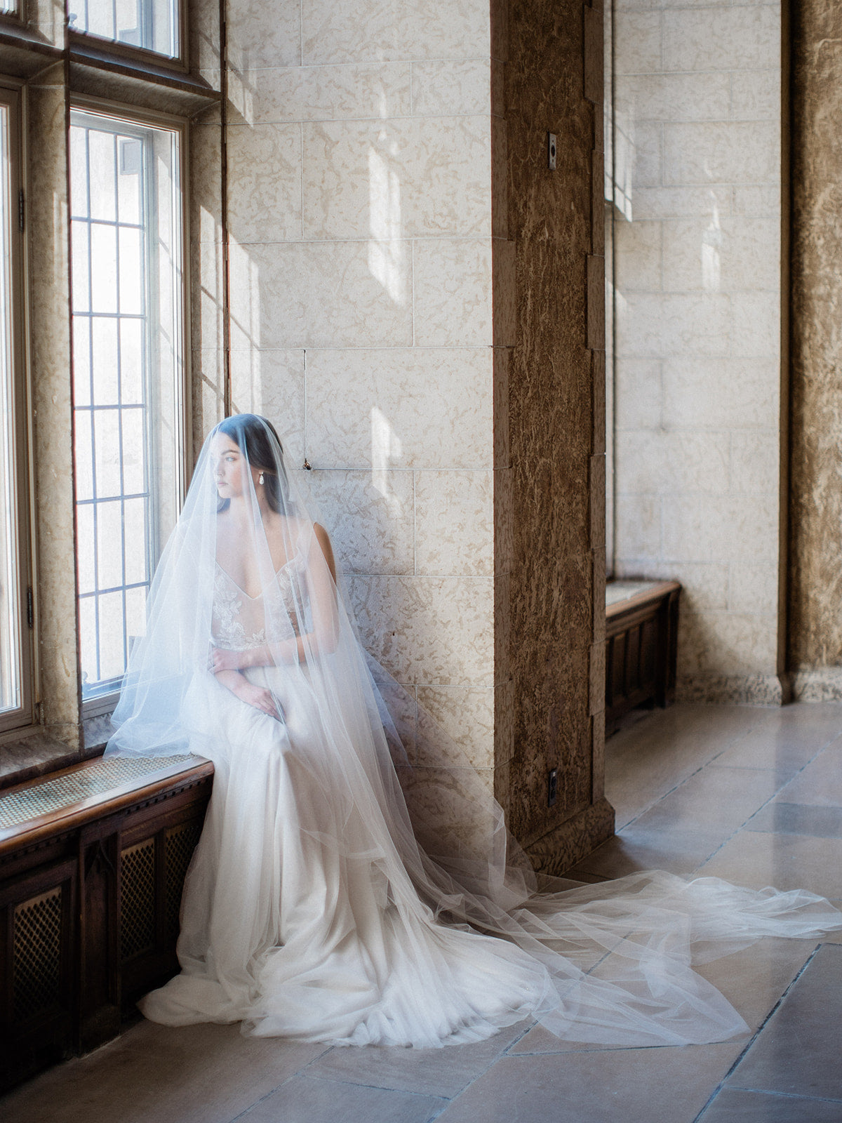 Sophia Sheer Blusher Veil | Cathedral Drop Veil - Noon on the Moon