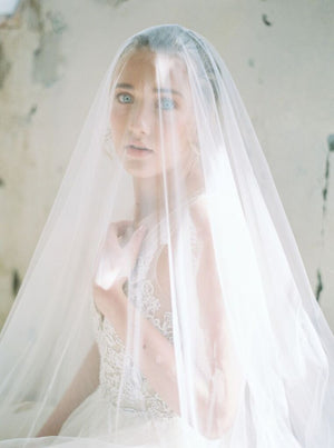 Bridal veil with long blusher.
